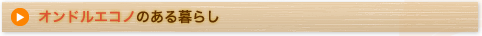 オンドルエコノのある暮らし