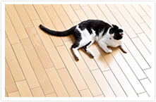 �C���[�W�ʐ^