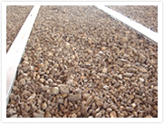 �C���[�W�ʐ^