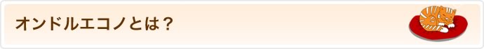 オンドルエコノとは?